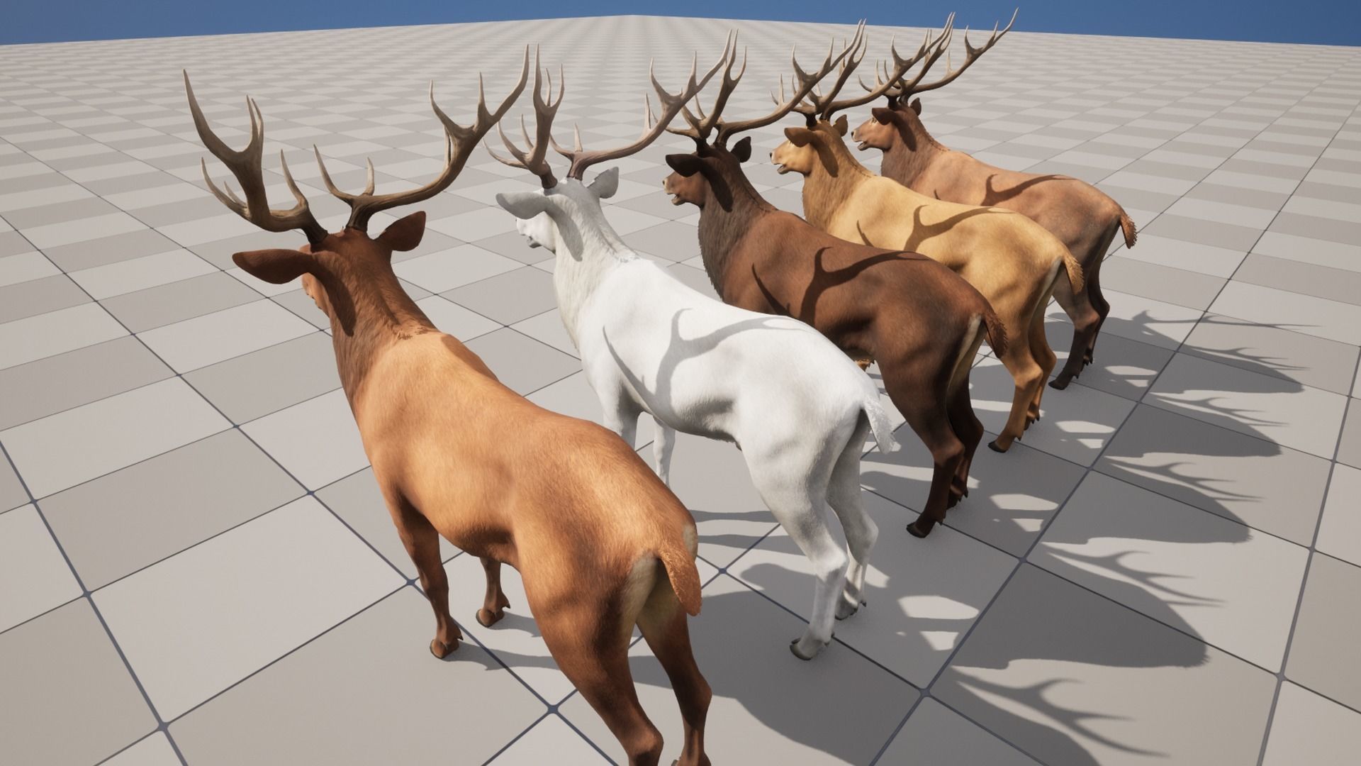 Red Deer stag Low-poly 3D model_10