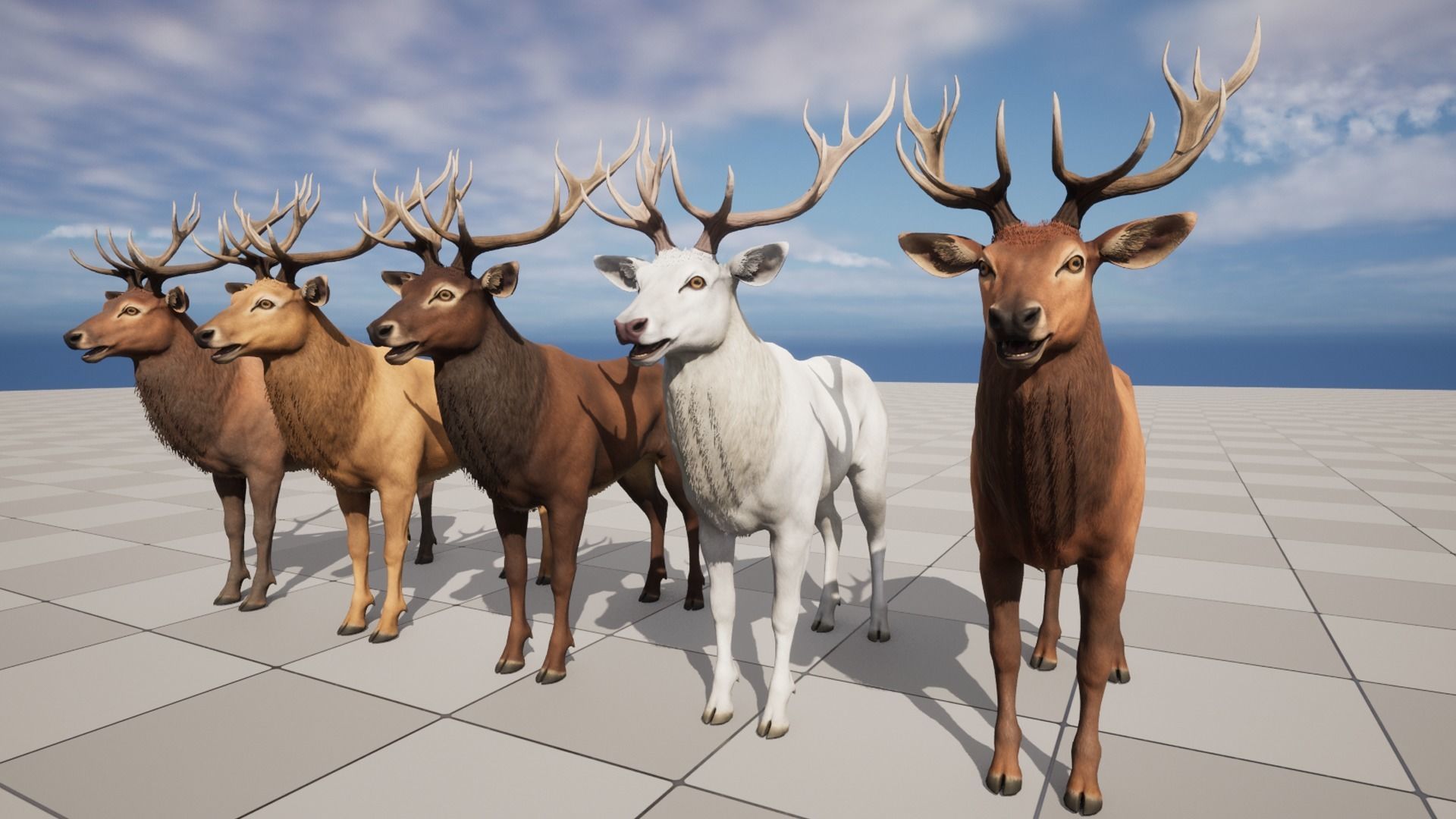 Red Deer stag Low-poly 3D model_11