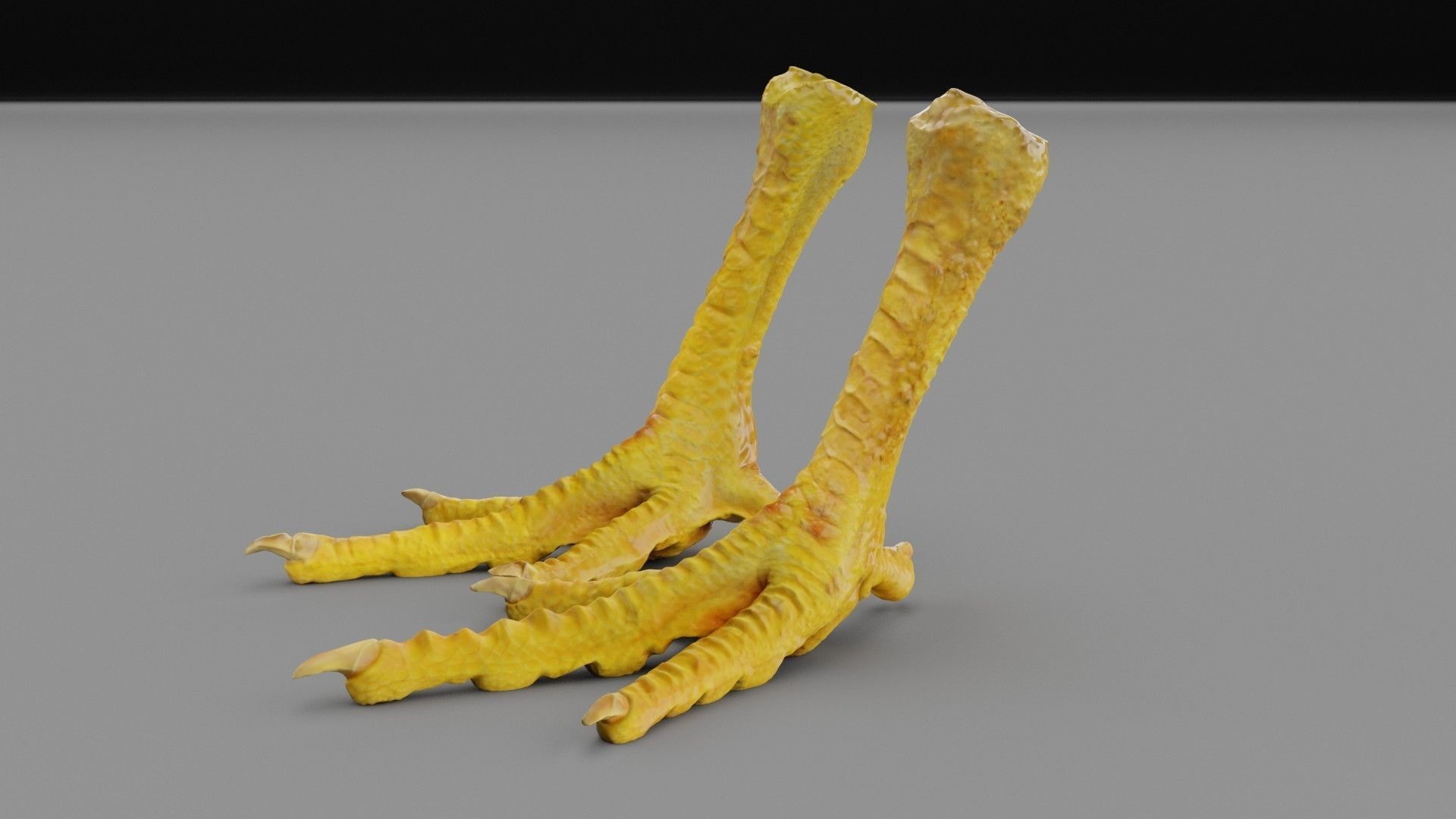 Pair chicken feet high-poly 3D model_28