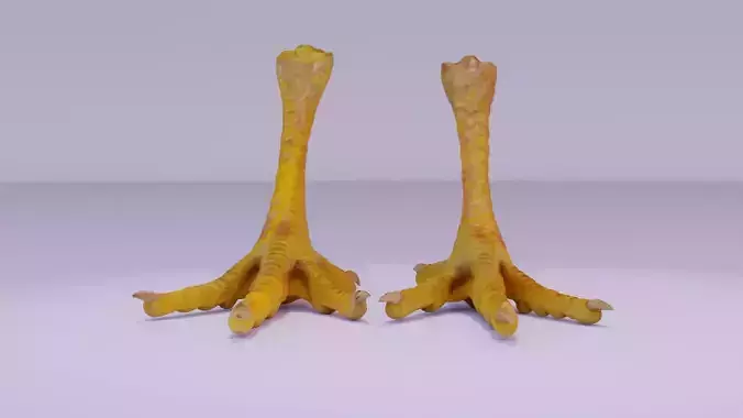 Pair chicken feet high-poly 3D model