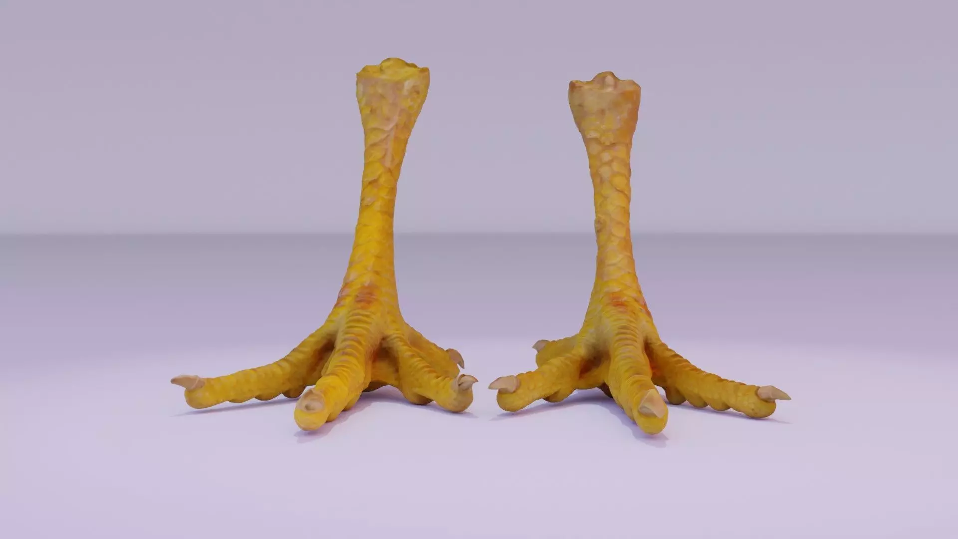 Pair chicken feet high-poly 3D model_0