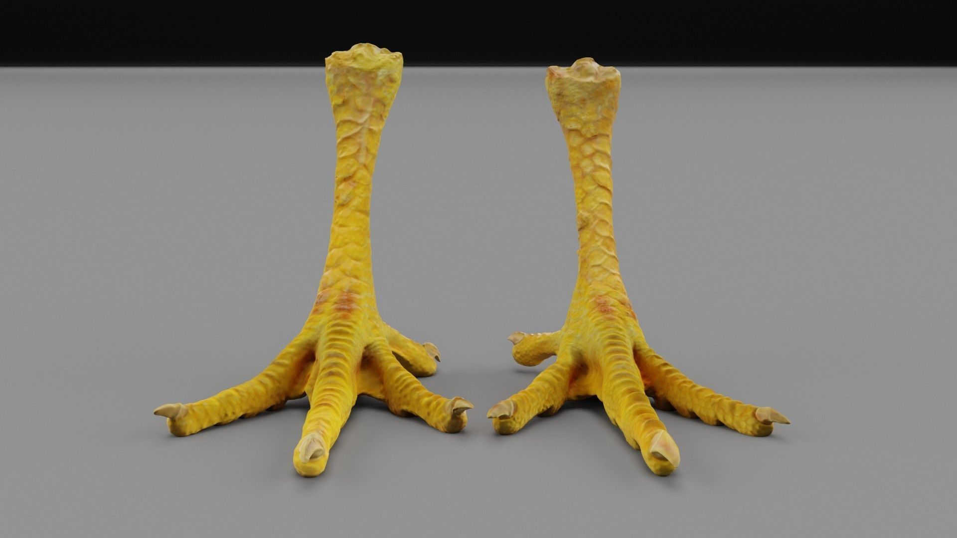 Pair chicken feet high-poly 3D model_20