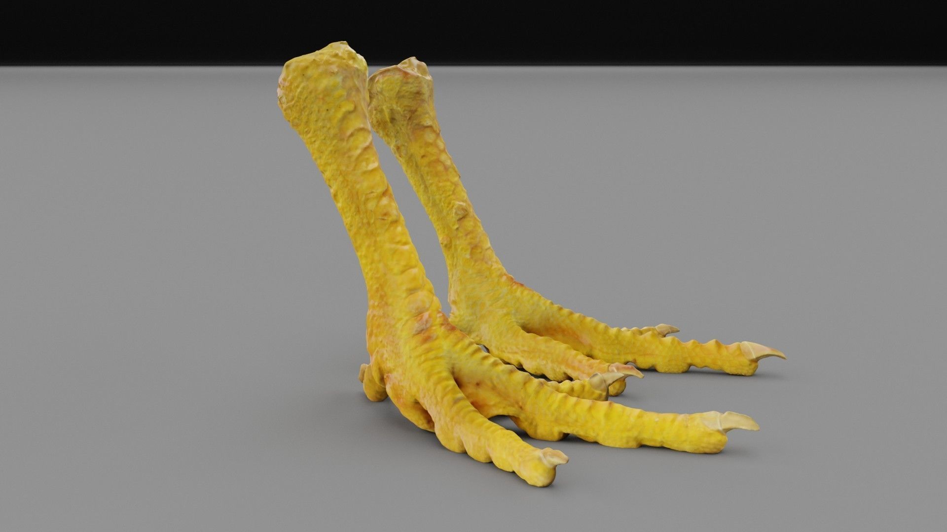 Pair chicken feet high-poly 3D model_22