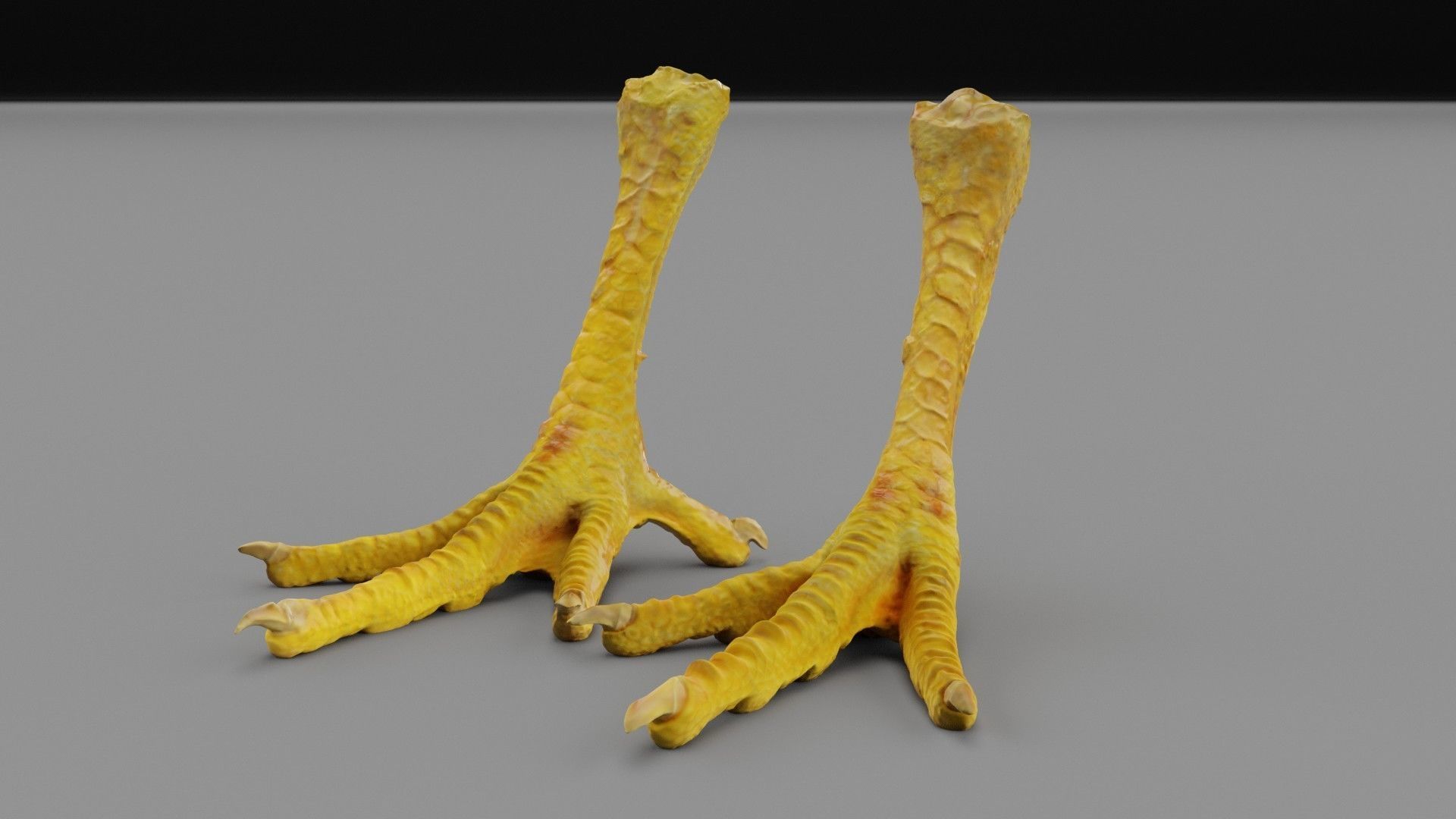 Pair chicken feet high-poly 3D model_29