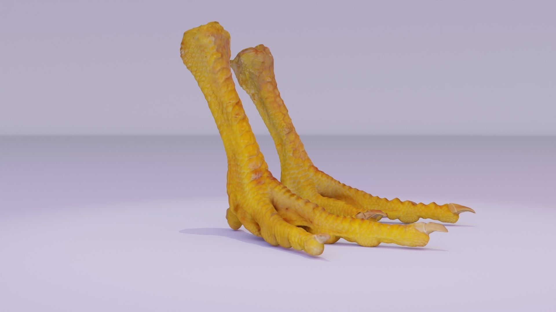 Pair chicken feet high-poly 3D model_12
