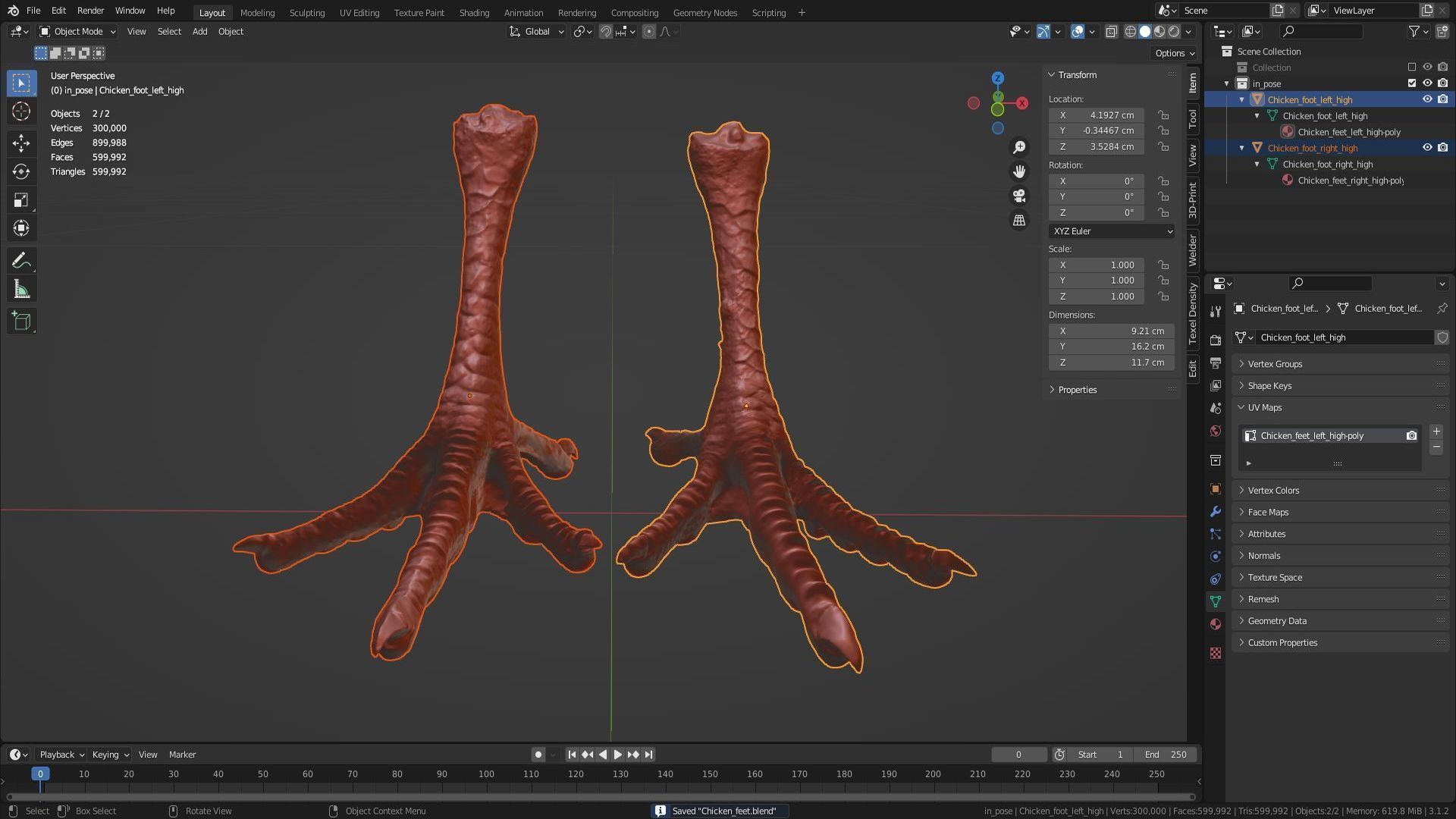 Pair chicken feet high-poly 3D model_33
