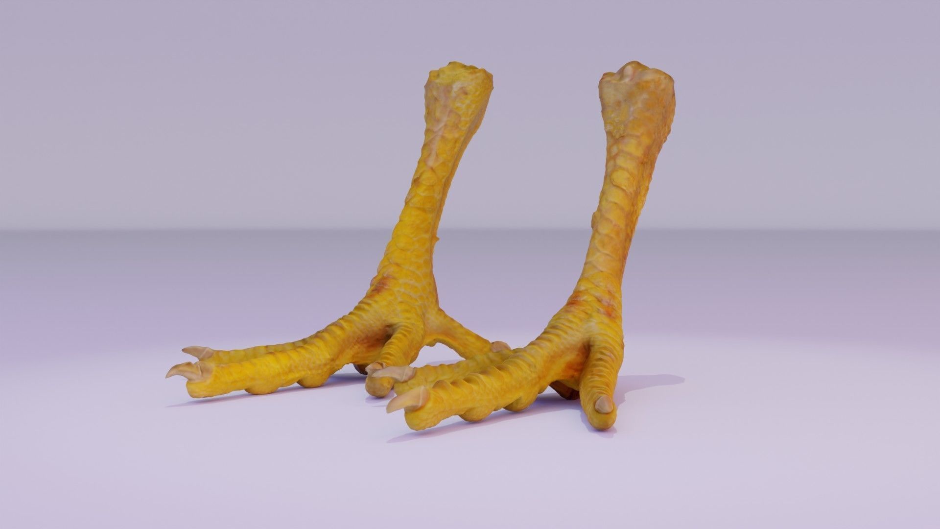 Pair chicken feet high-poly 3D model_19