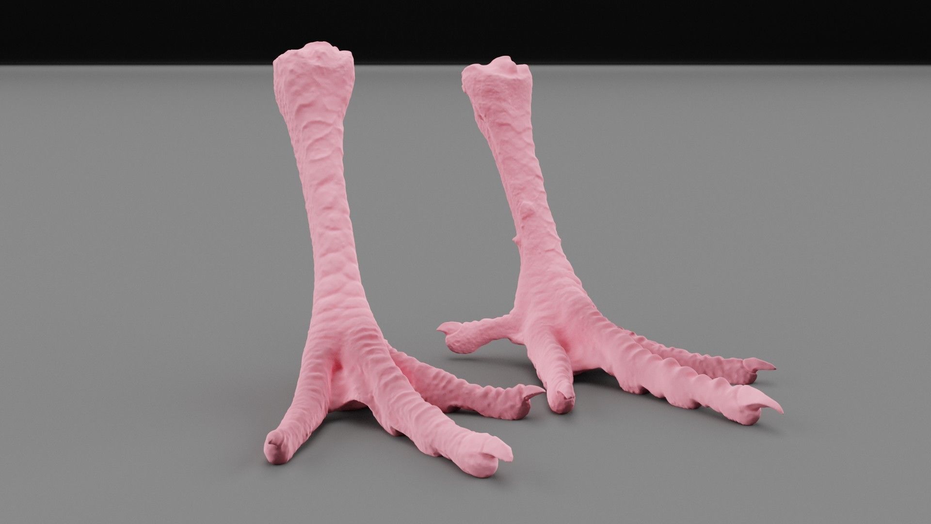 Pair chicken feet high-poly 3D model_30