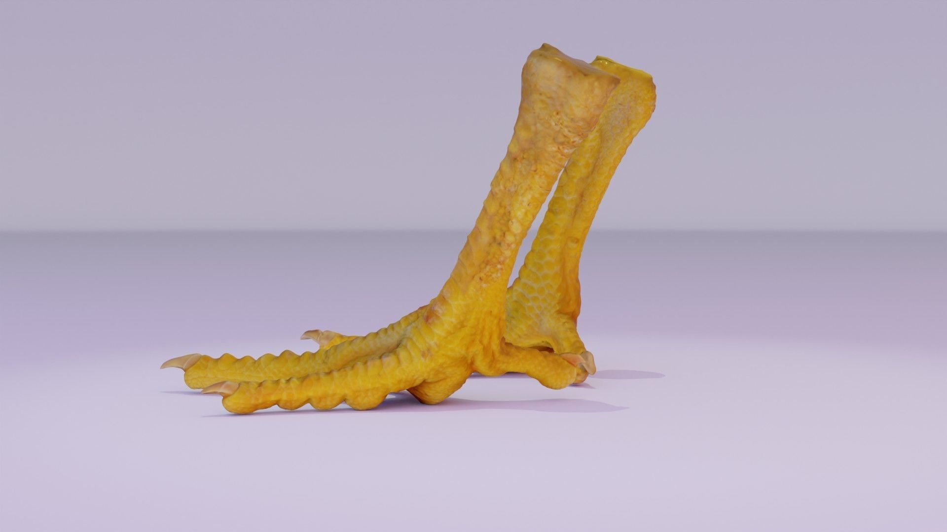 Pair chicken feet high-poly 3D model_17