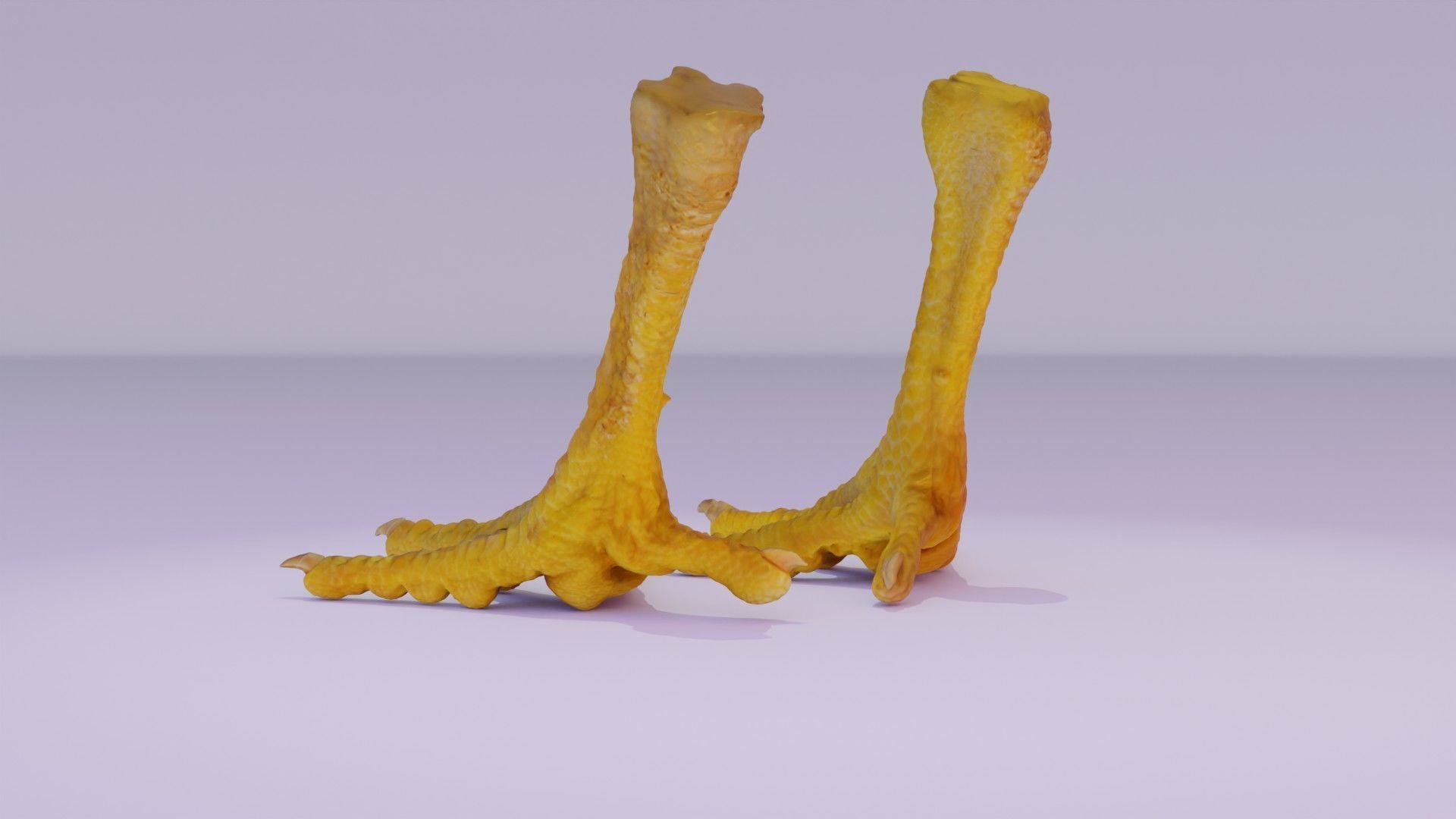 Pair chicken feet high-poly 3D model_16