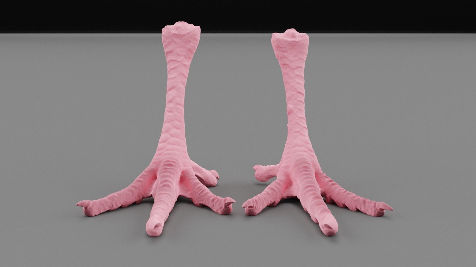 Pair chicken feet high-poly 3D model_31
