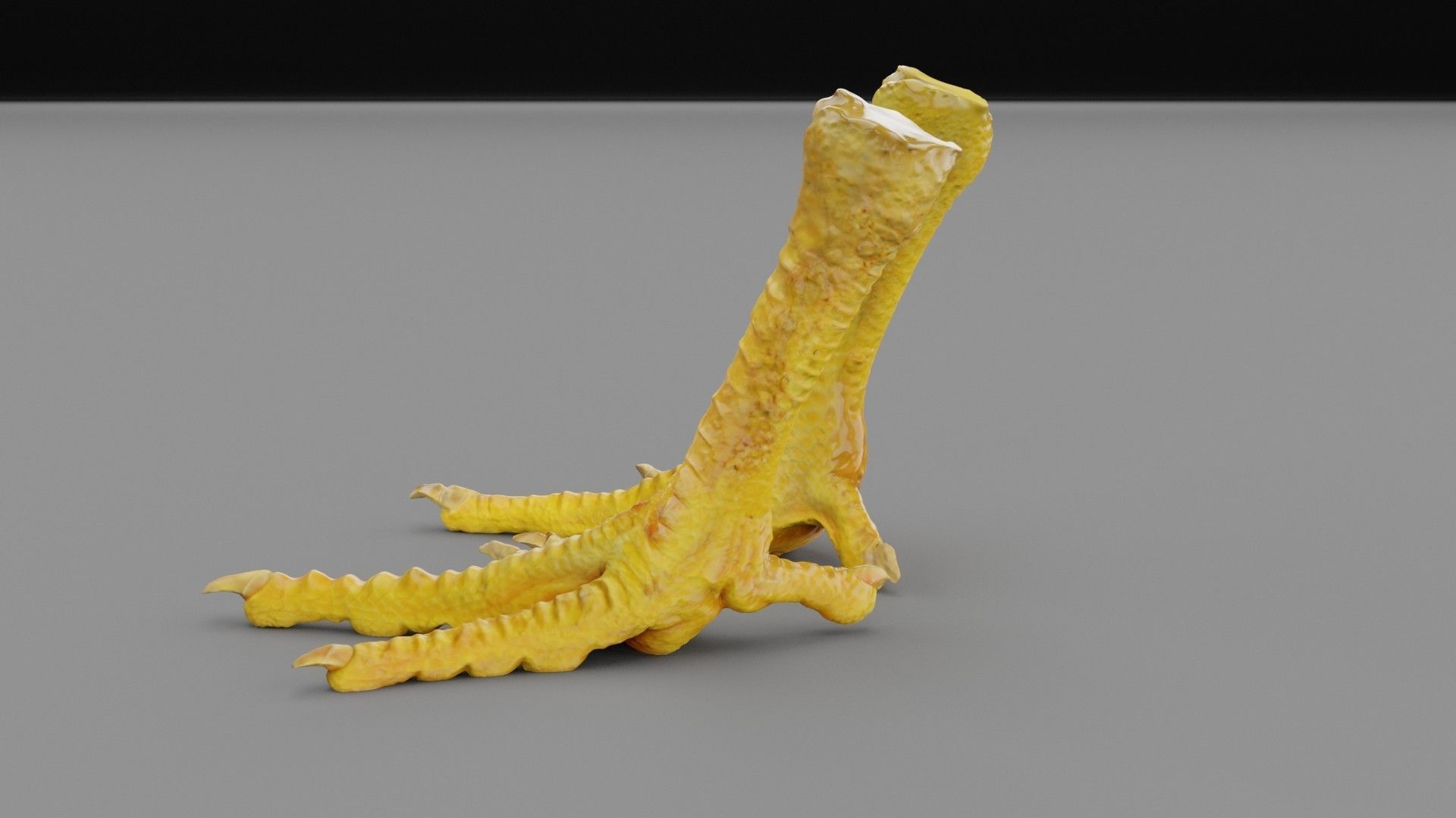 Pair chicken feet high-poly 3D model_27