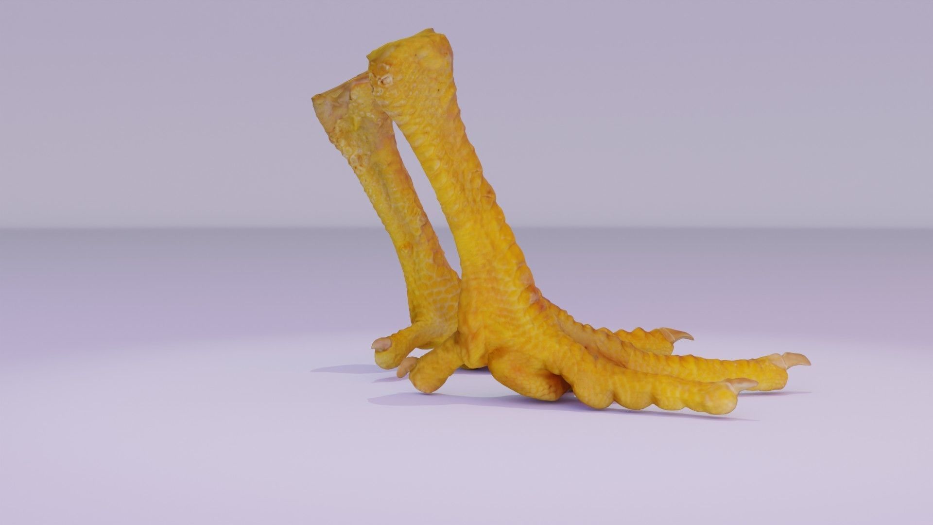 Pair chicken feet high-poly 3D model_13