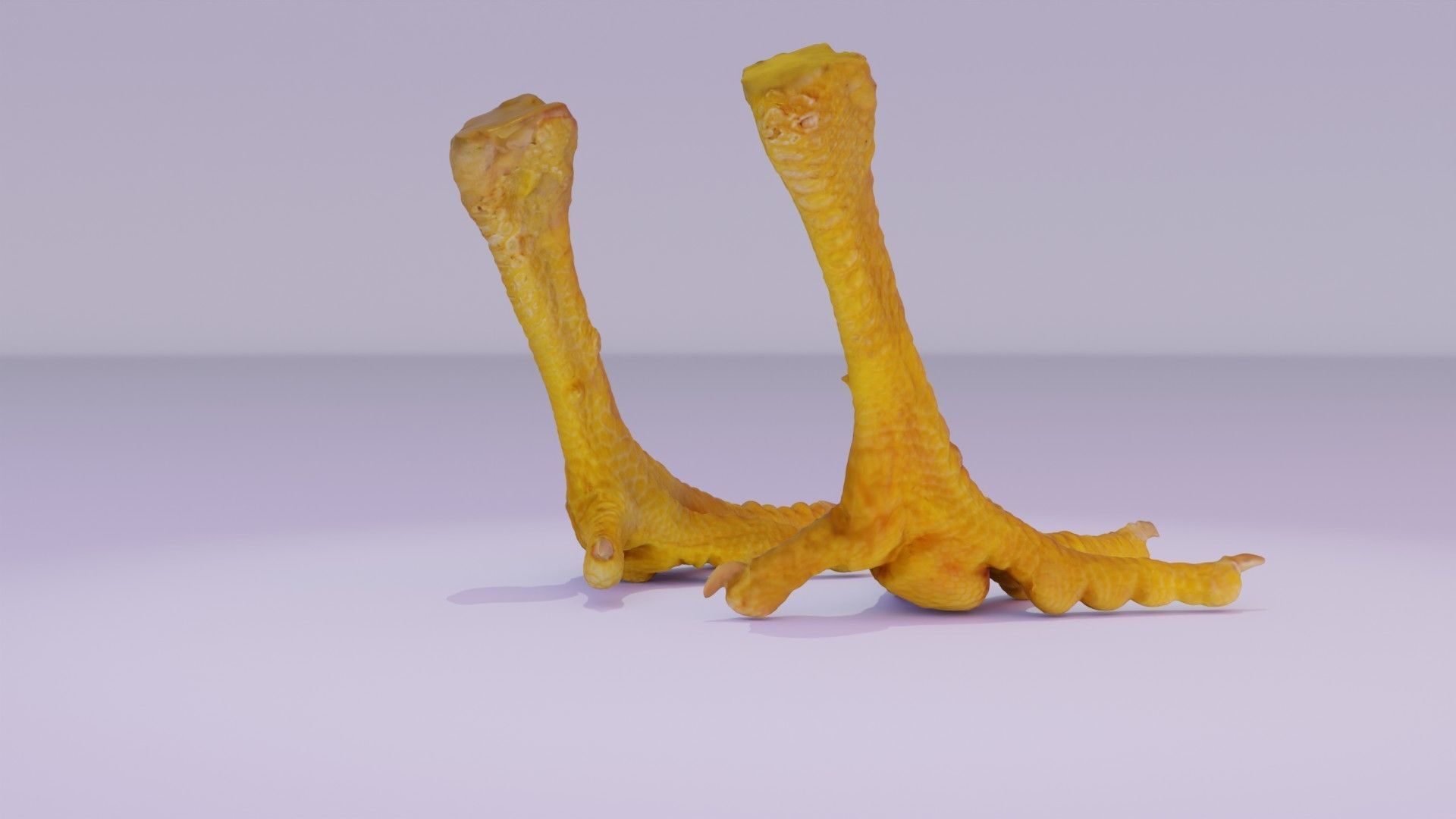 Pair chicken feet high-poly 3D model_14