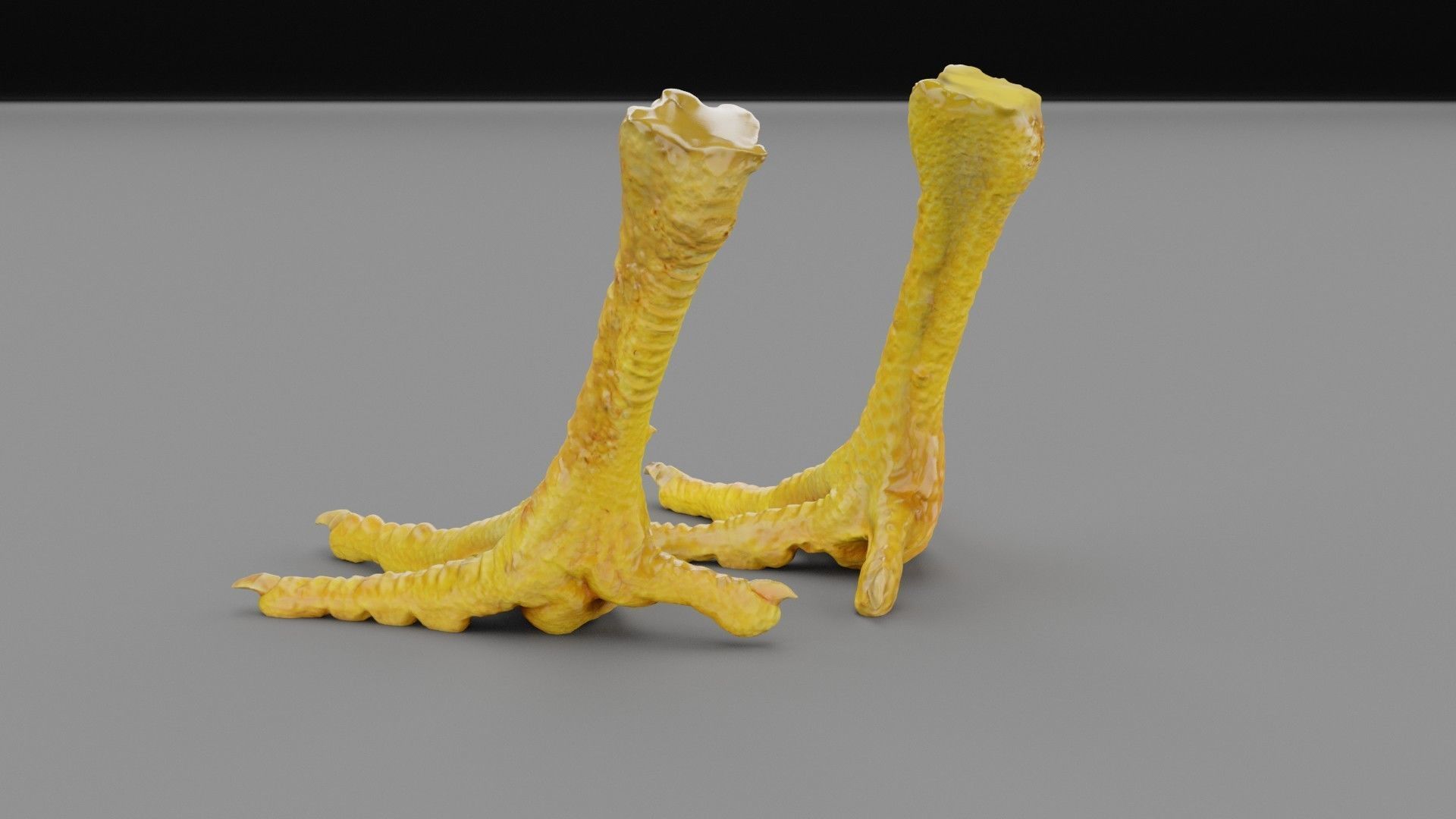 Pair chicken feet high-poly 3D model_26