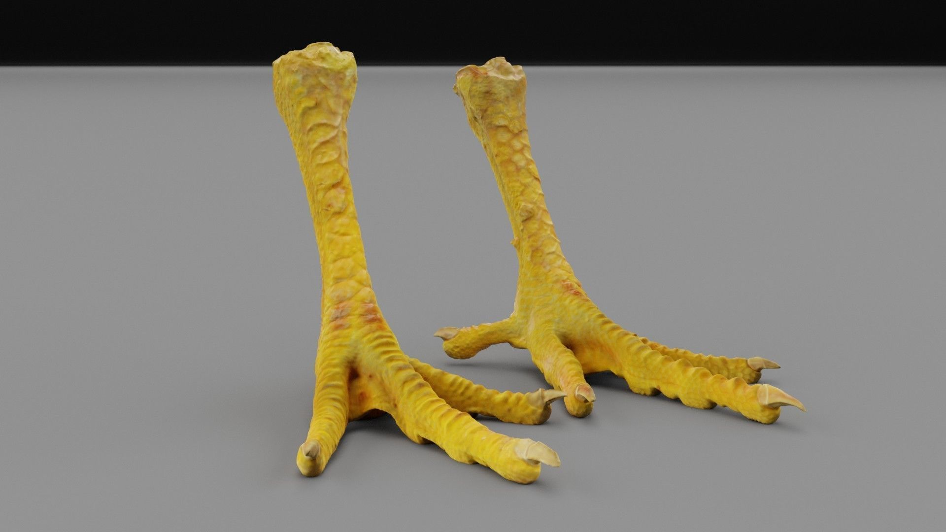 Pair chicken feet high-poly 3D model_21