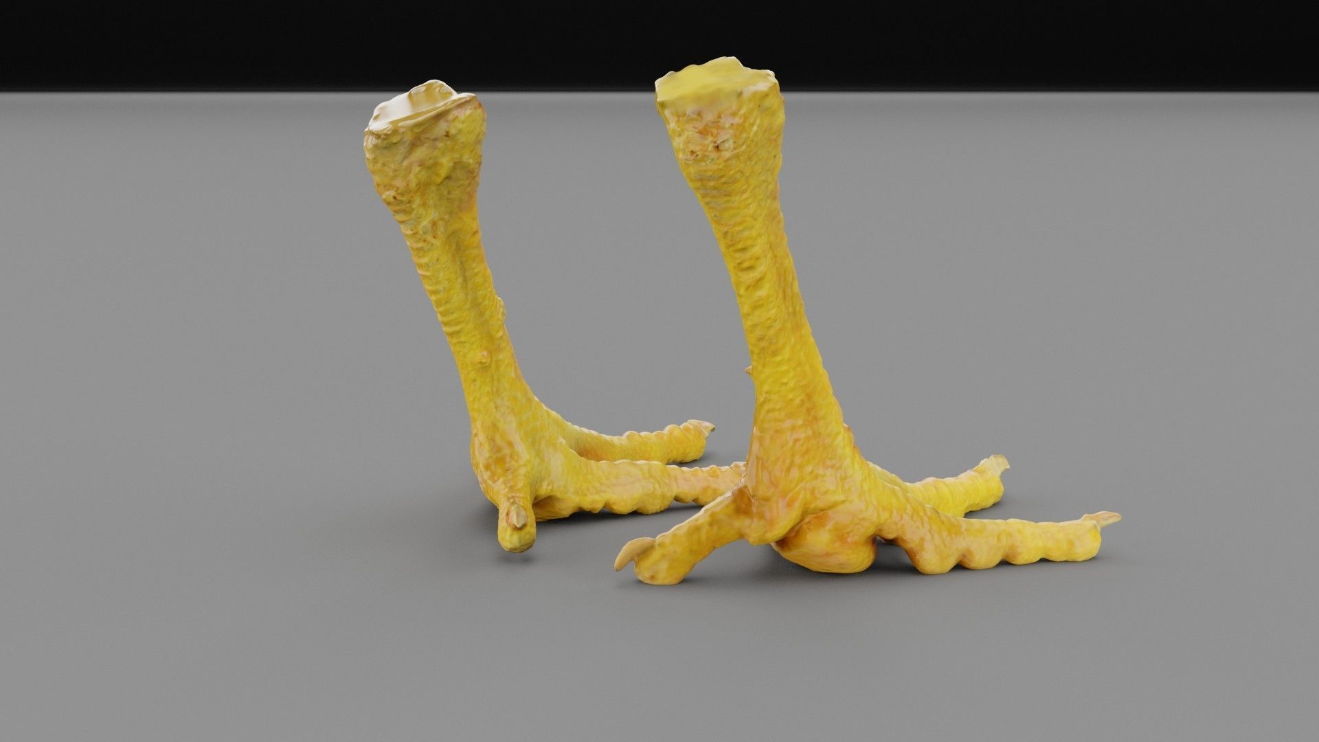 Pair chicken feet high-poly 3D model_24