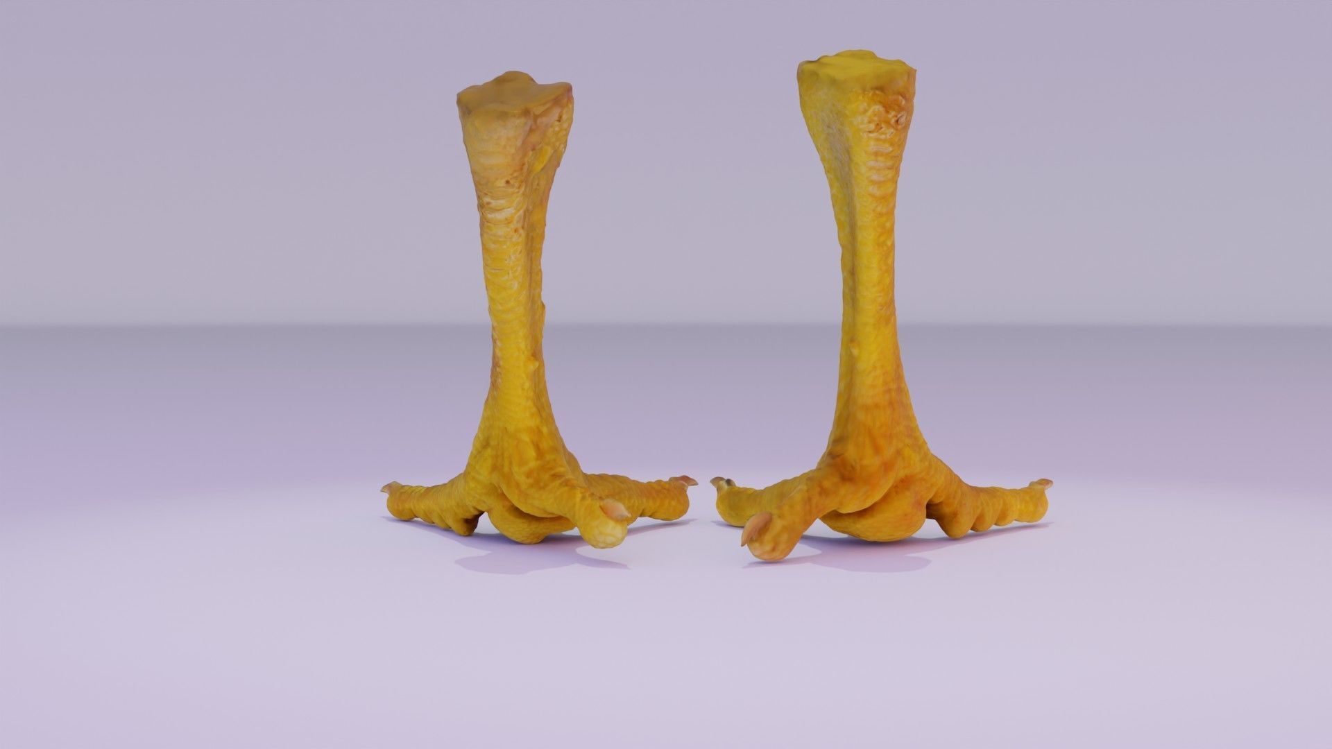 Pair chicken feet high-poly 3D model_15