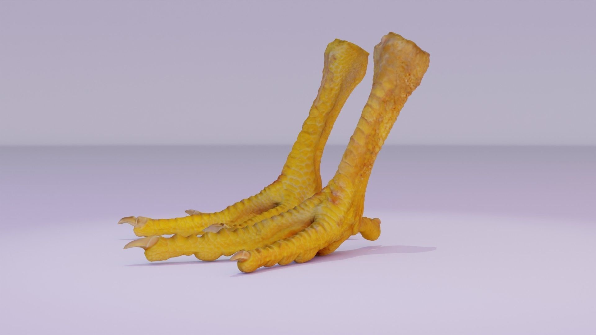Pair chicken feet high-poly 3D model_18
