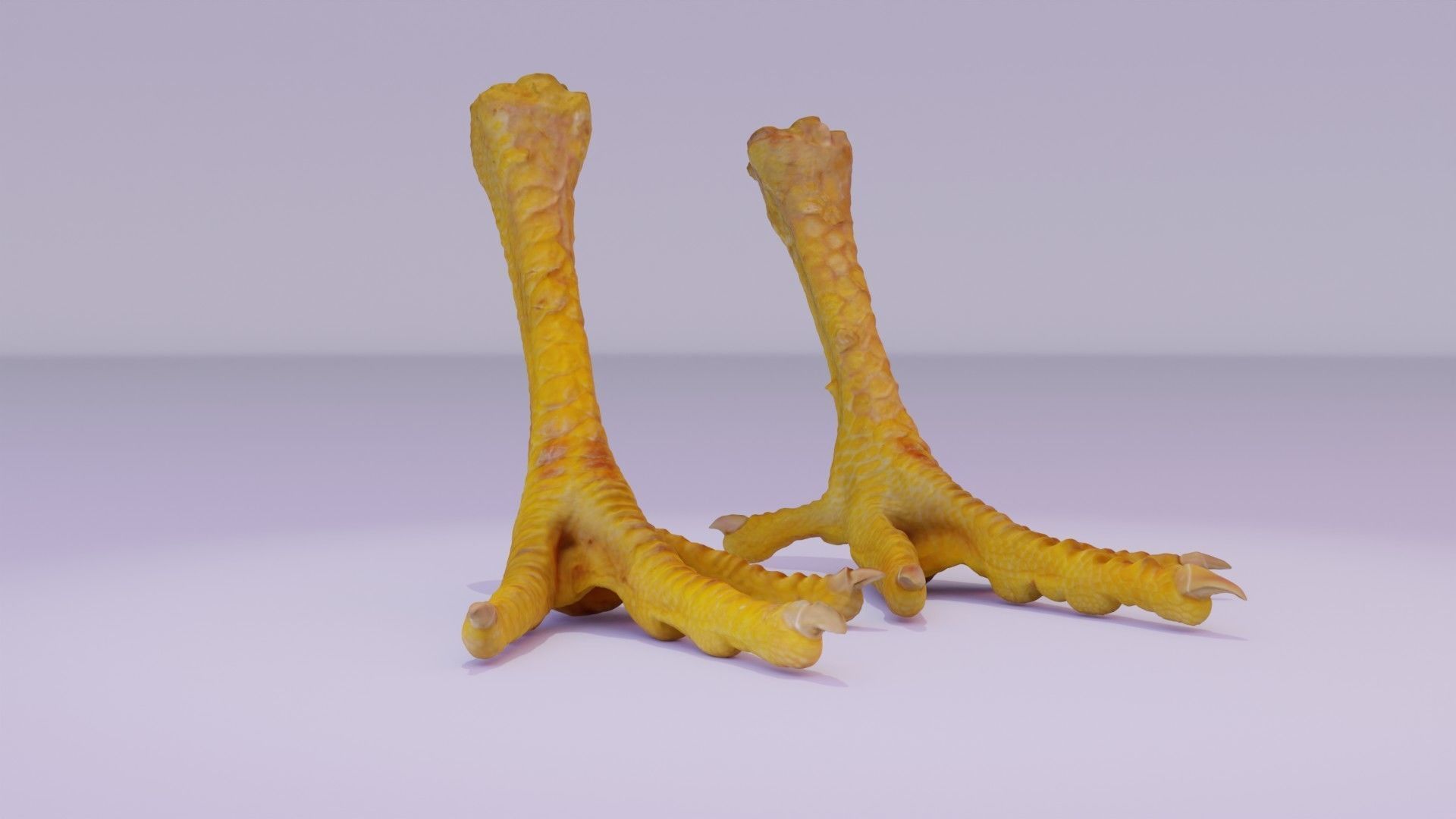 Pair chicken feet high-poly 3D model_11