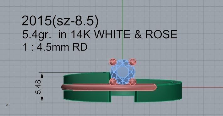 Delicate ring 2015 3D print model  3D print model_4