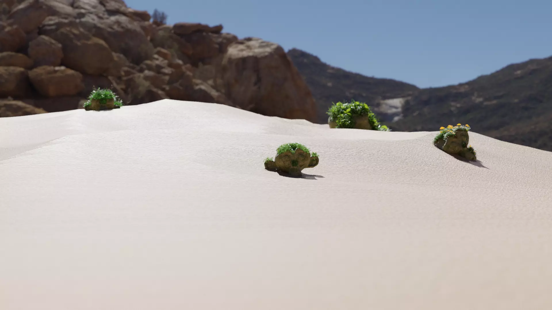 Desert cactus plants growing in sand Free 3D model