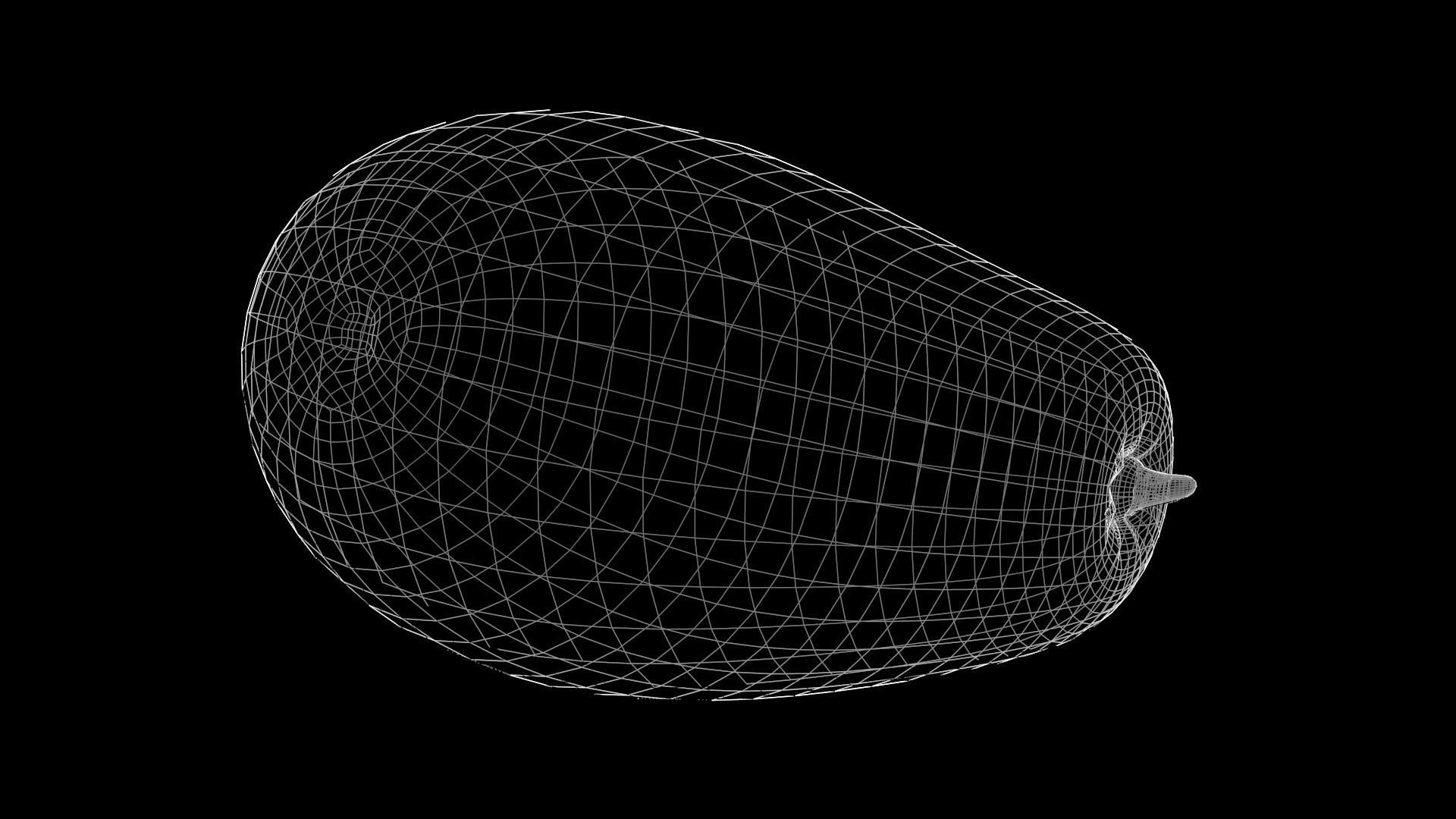 Pawpaw melon Low-poly 3D model_11