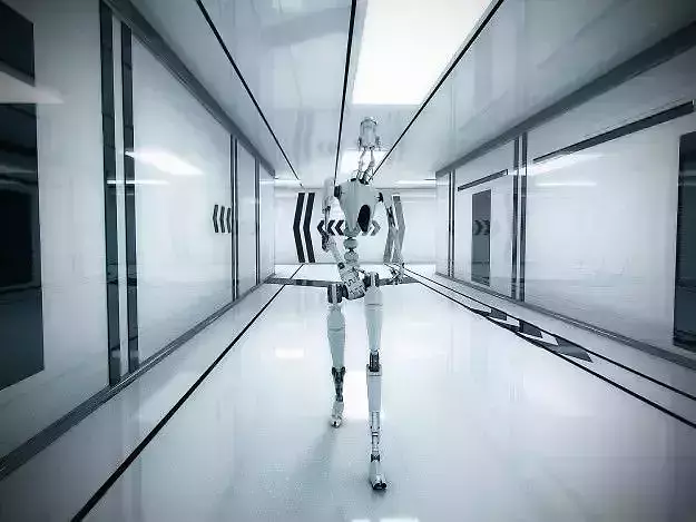 Robot Walking