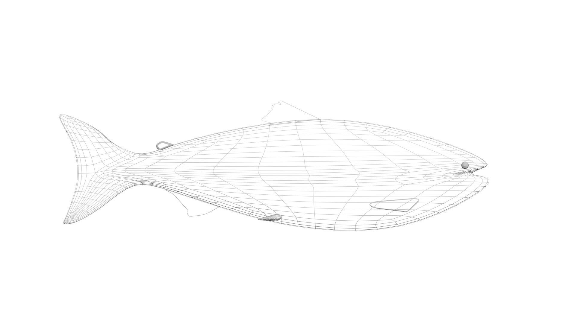 Animated and Rigged Swimming Salmon Fish 3D model_36