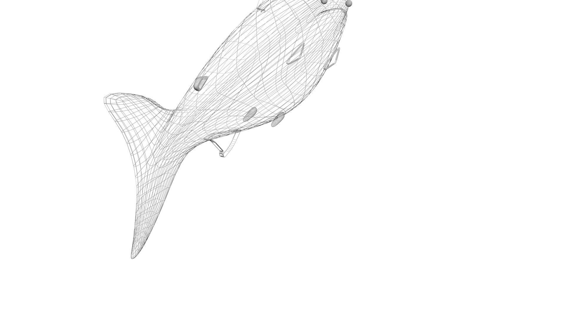 Animated and Rigged Swimming Salmon Fish 3D model_30