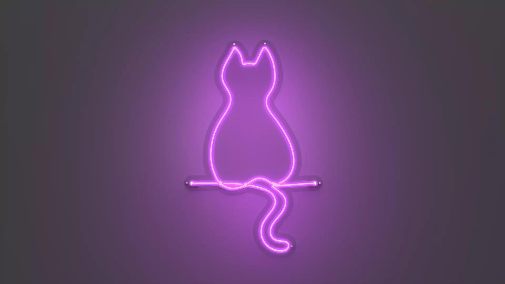 Front Cat - Neon Sign 3D model_0