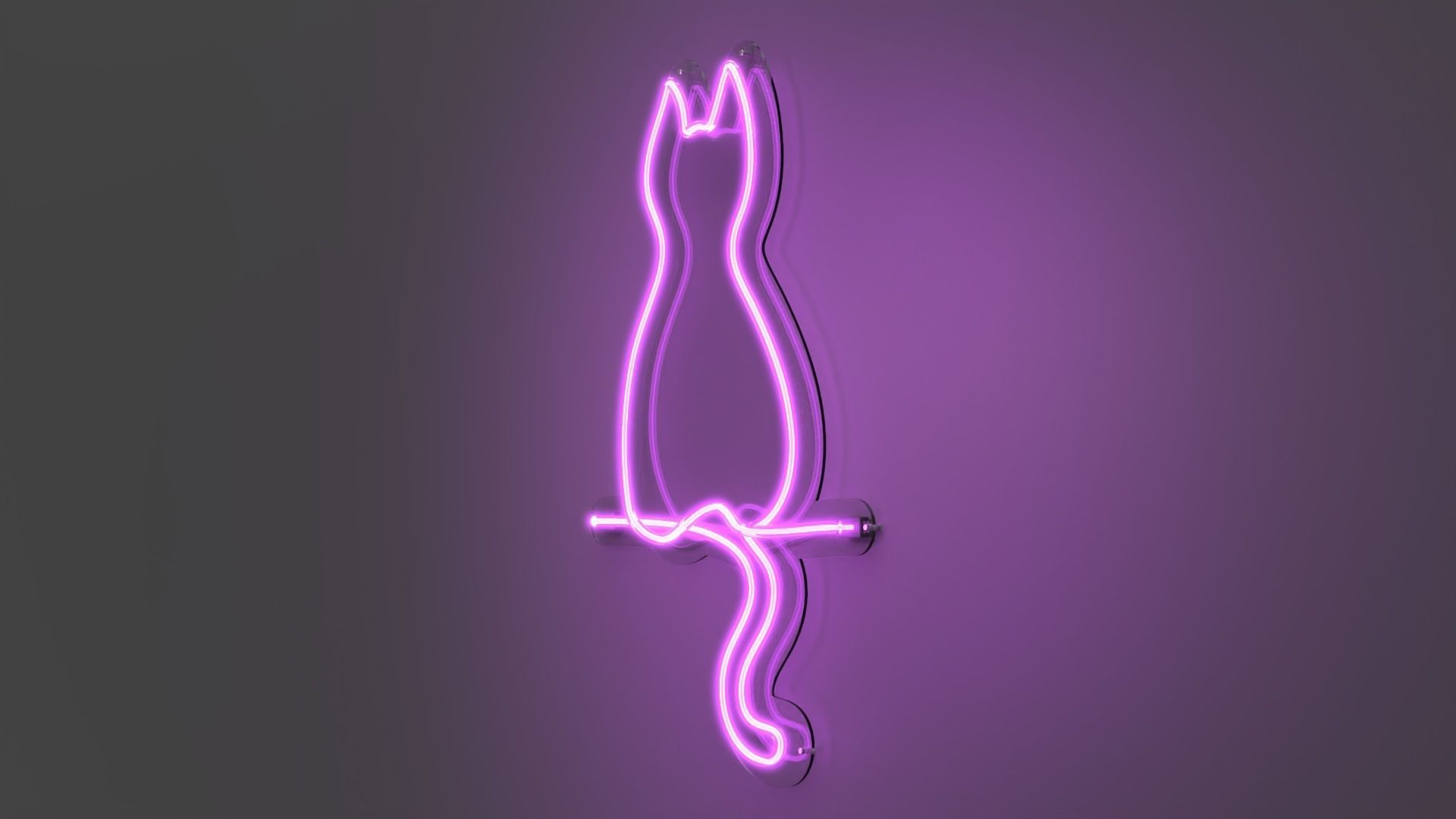 Front Cat - Neon Sign 3D model_3