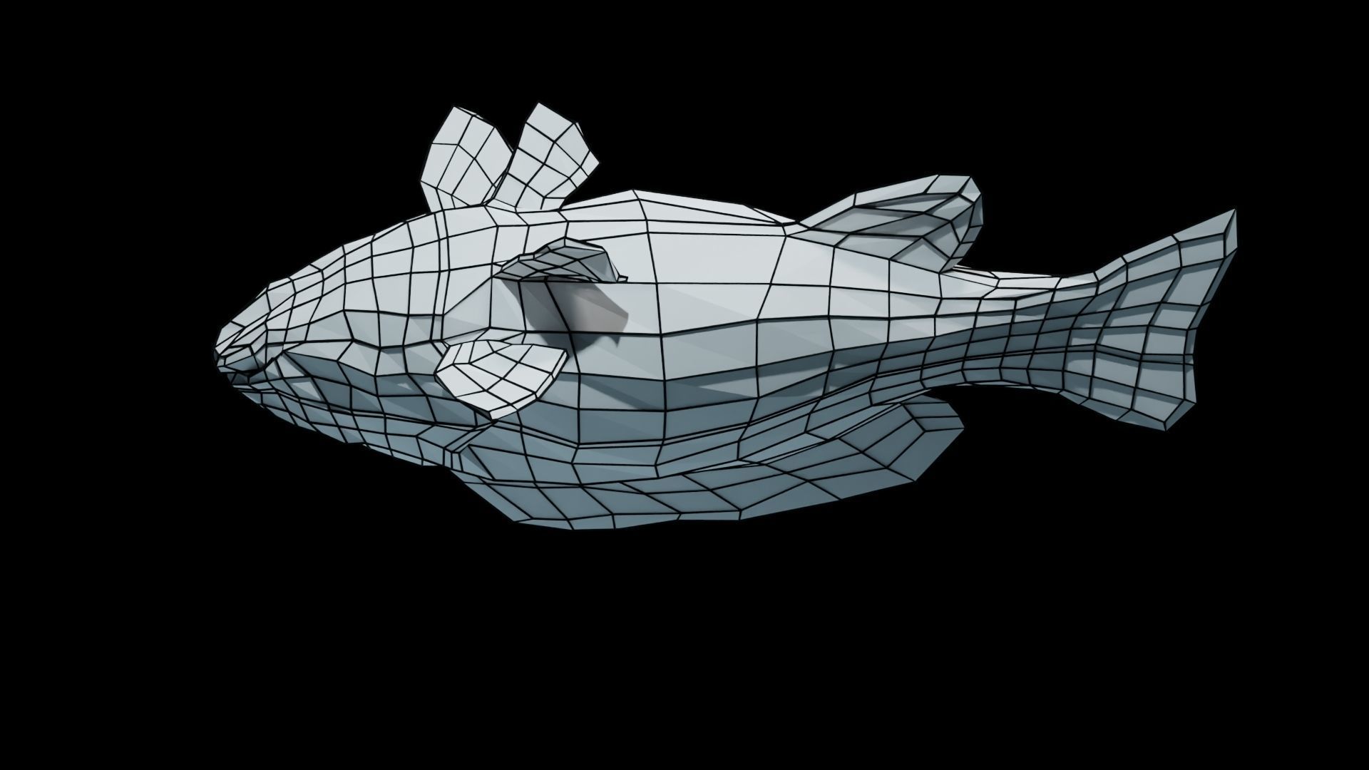 Smallmouth Bass Low-poly 3D model_17