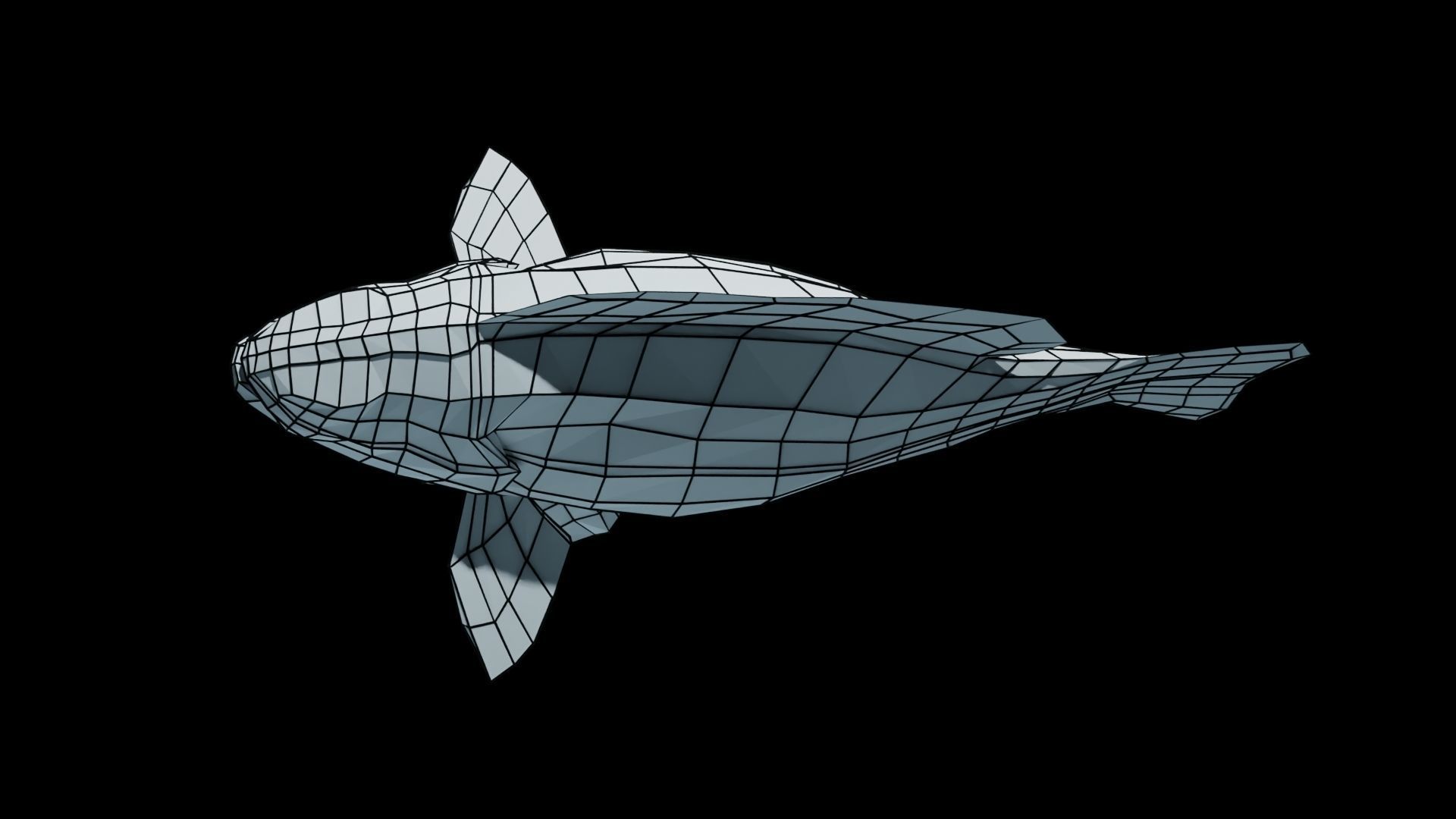 Smallmouth Bass Low-poly 3D model_15