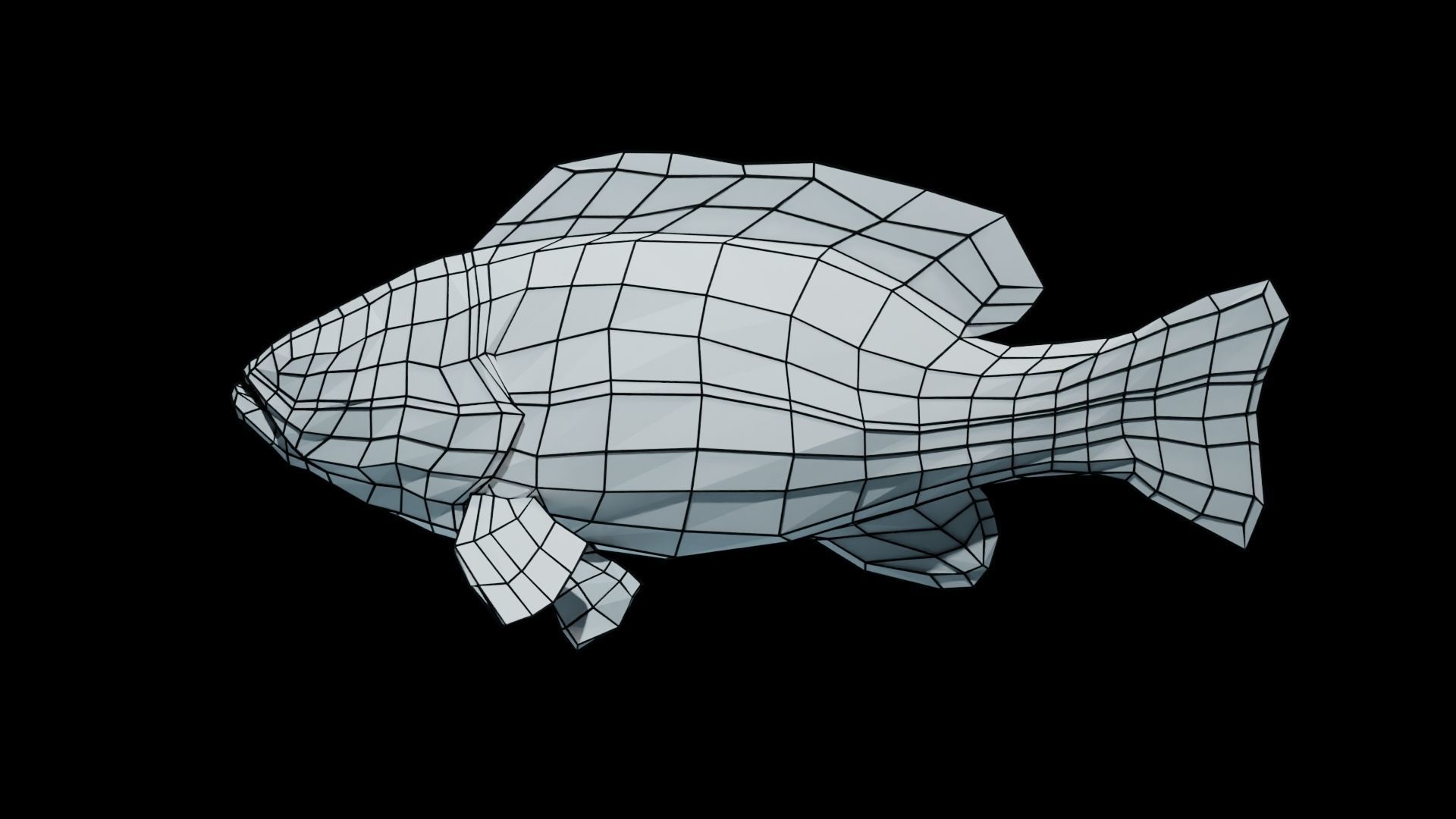 Smallmouth Bass Low-poly 3D model_20
