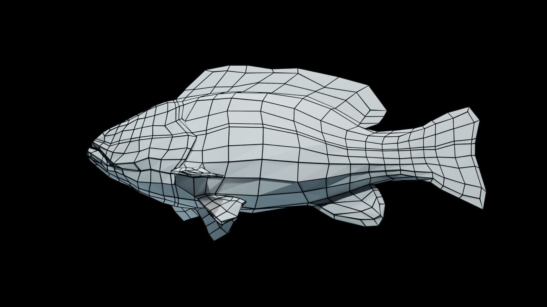 Smallmouth Bass Low-poly 3D model_19