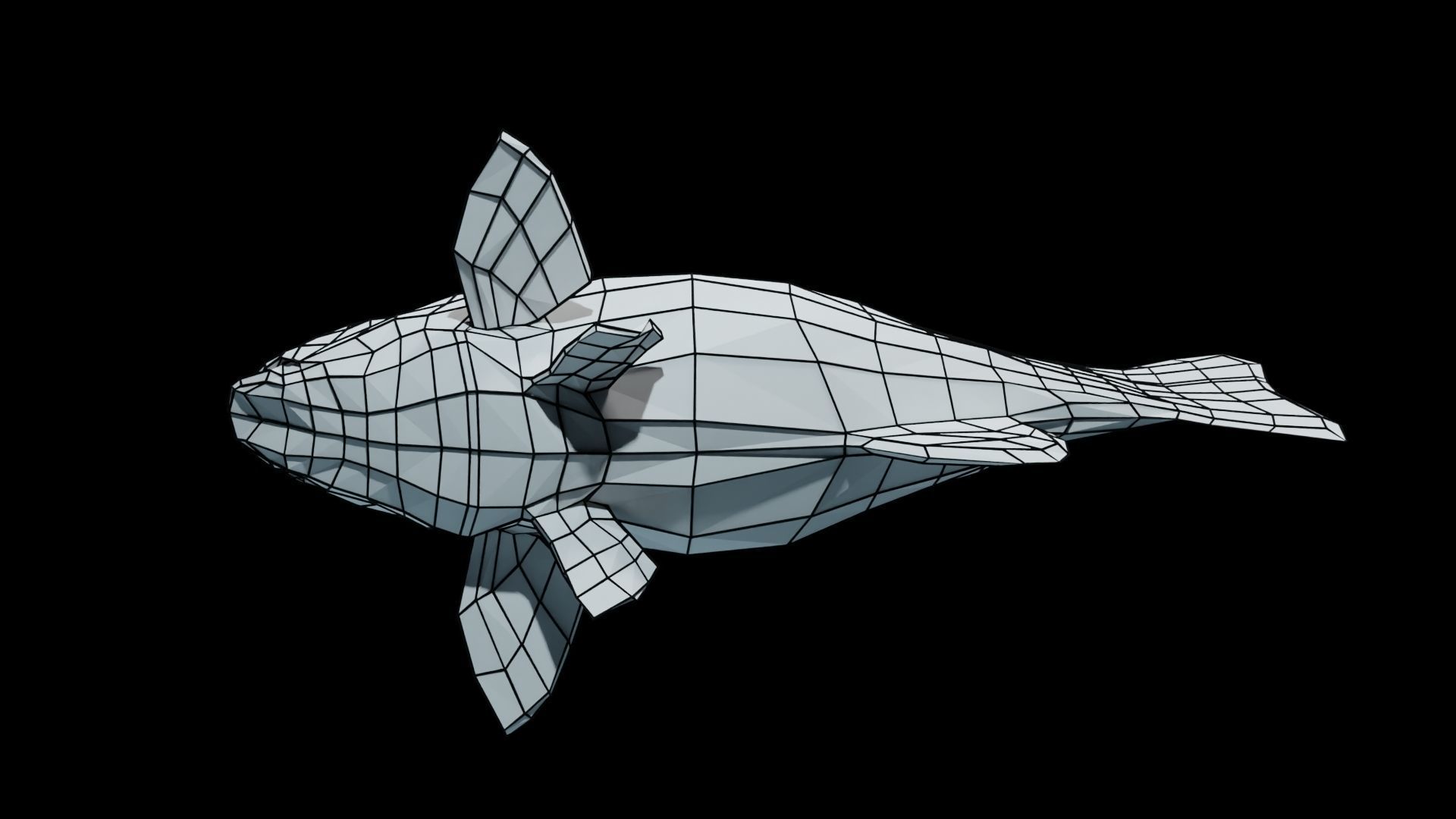Smallmouth Bass Low-poly 3D model_18
