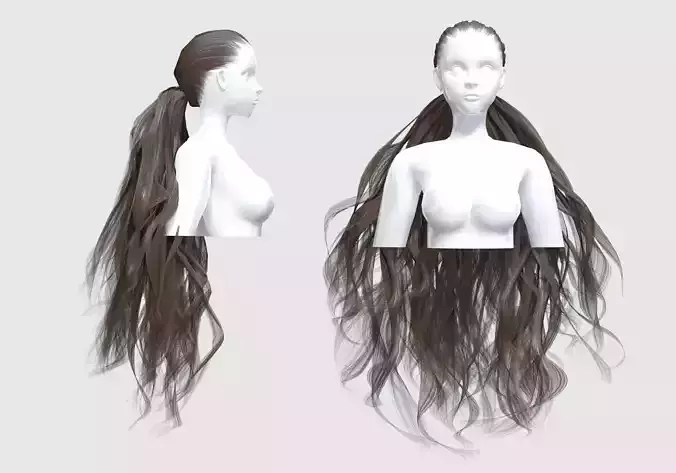 Wavy Pigtail Hairstyle 