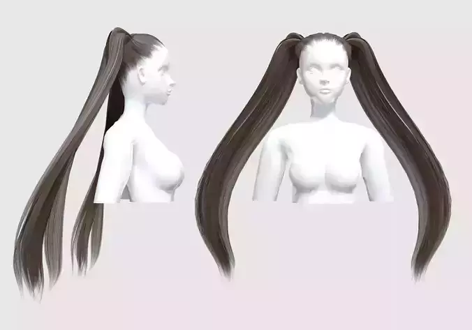Two Pigtails Hairstyle 
