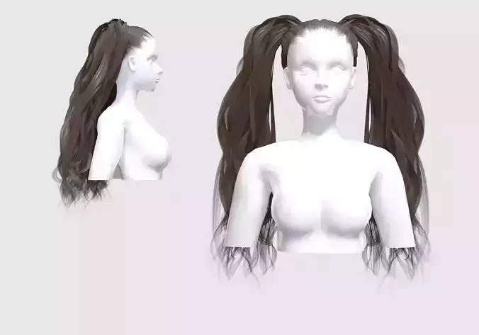 Two Pigtails Hair 