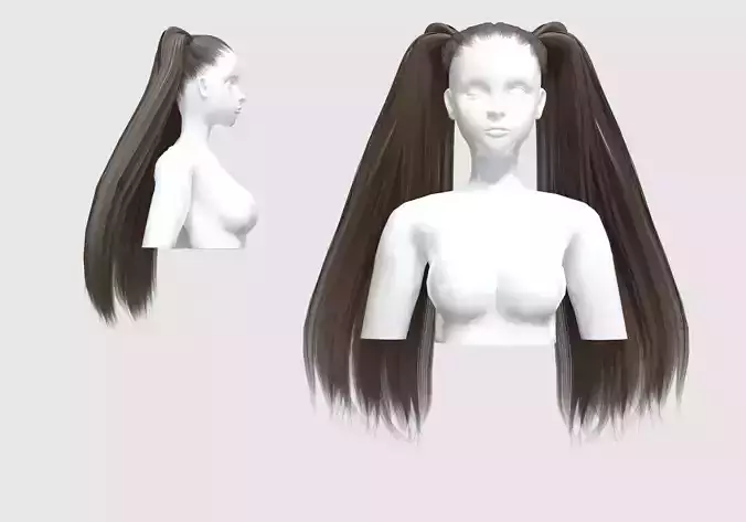 Straight Ponytails Hairstyle 