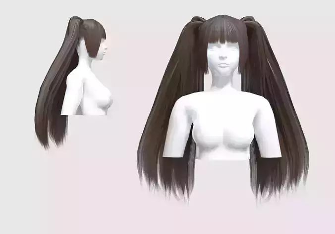 Straight Pigtails Hairstyle 