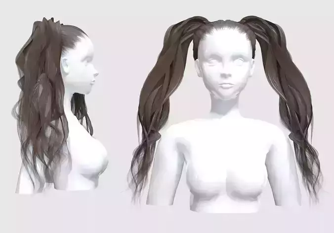 Ponytails Long Hair 