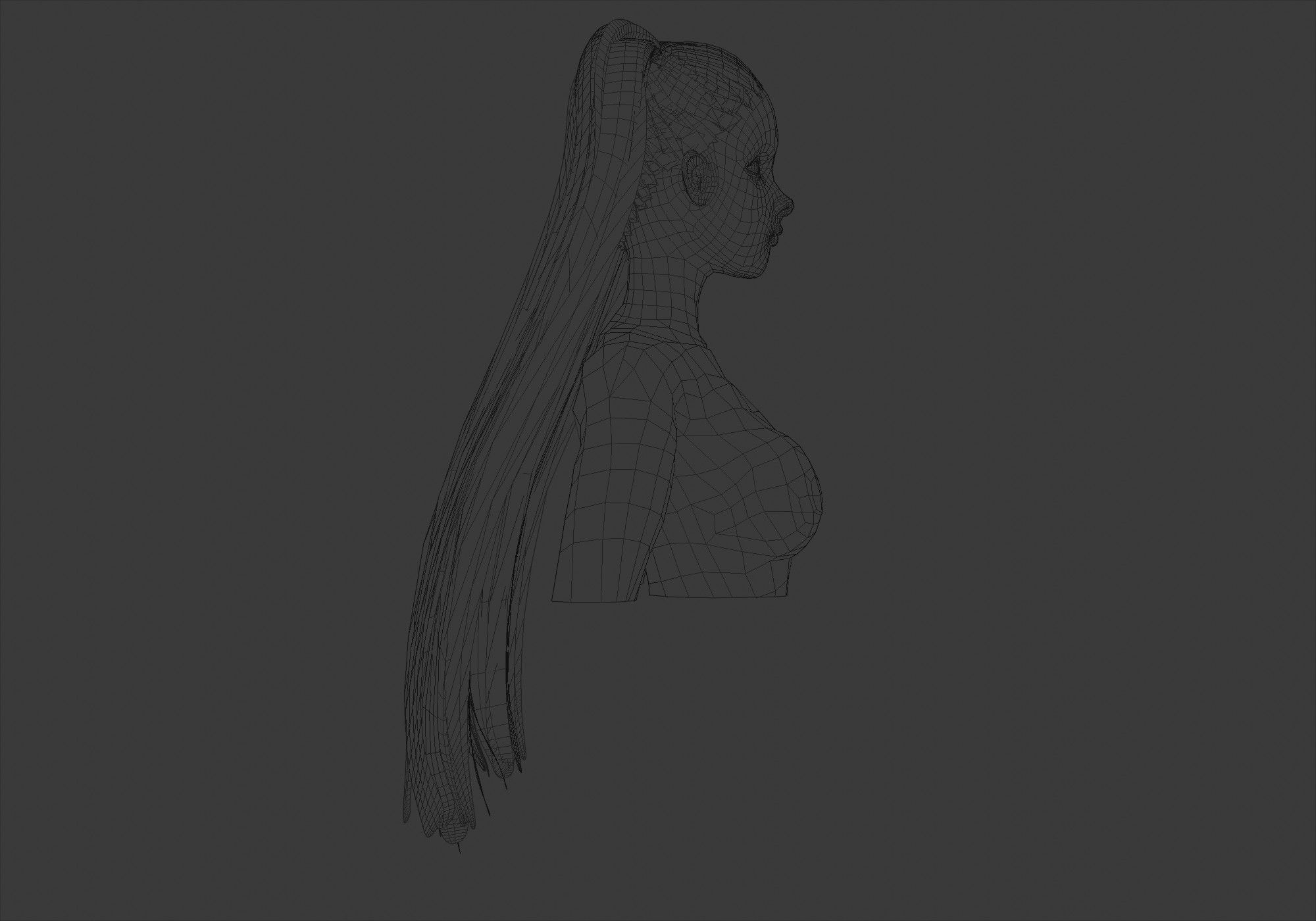 Ponytails Female Hairstyle 3D model_7