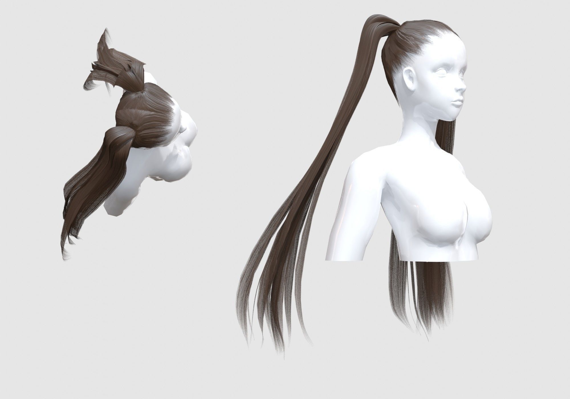 Ponytails Female Hairstyle 3D model_1