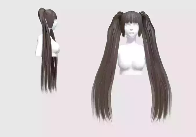 Ponytails Basic Hairstyle 