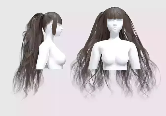 Ponytails Bangs Hair 