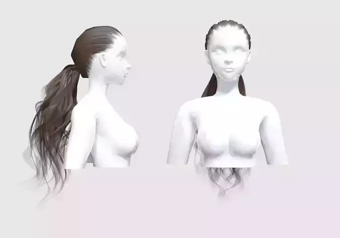 Ponytail Wavy Hairstyle 