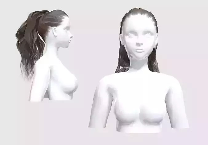 Ponytail Wavy Hair 