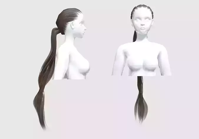 Ponytail Long Hairstyle 